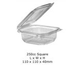 250cc Square Hinged Container